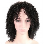 LACE FRONT KINKY CURLY MALAISIEN