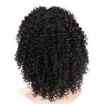 LACE FRONT KINKY CURLY MALAISIEN